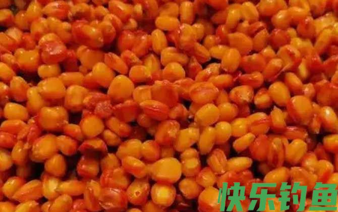钓草鱼老玉米怎么泡制？(图3)