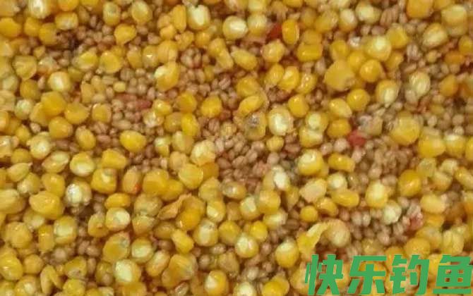 钓草鱼老玉米怎么泡制？(图5)