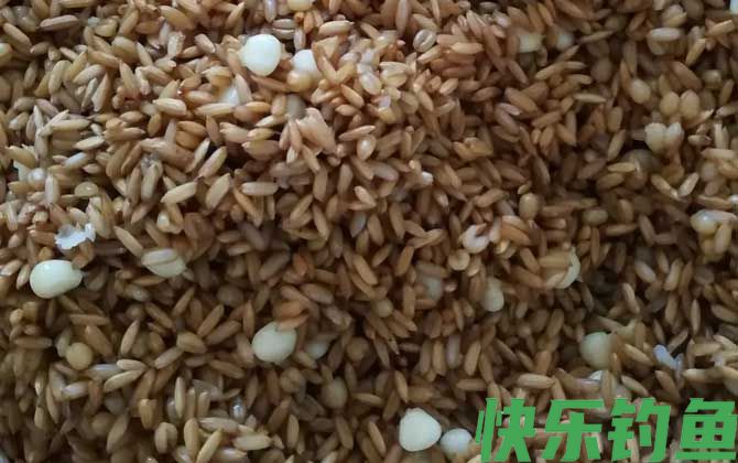 民间钓鱼窝料配方大全(图5)