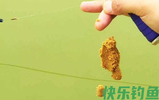 新手钓鱼饵料见水就没了怎么回事？(图2)
