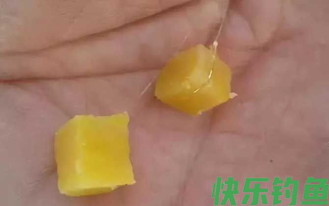 钓草鱼最顶级的绝杀饵(图4)