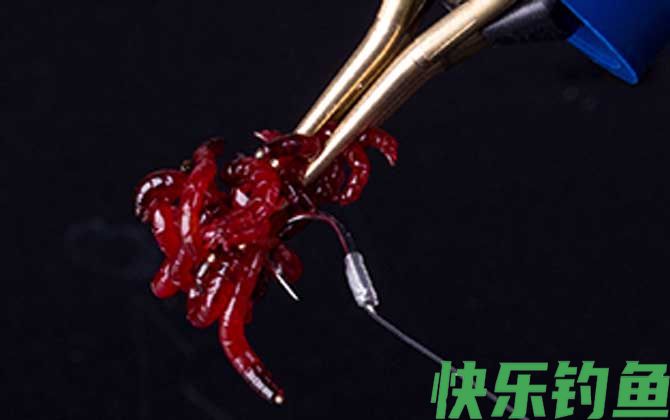 冬天钓鱼不开口用什么饵料？(图2)