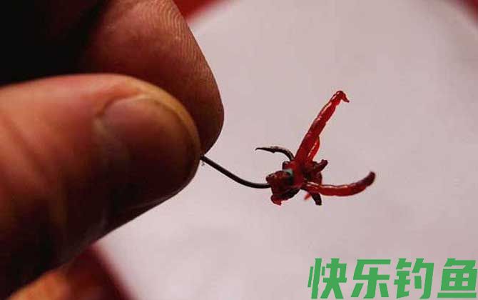 夏季钓鱼用红虫还是蚯蚓？(图1)