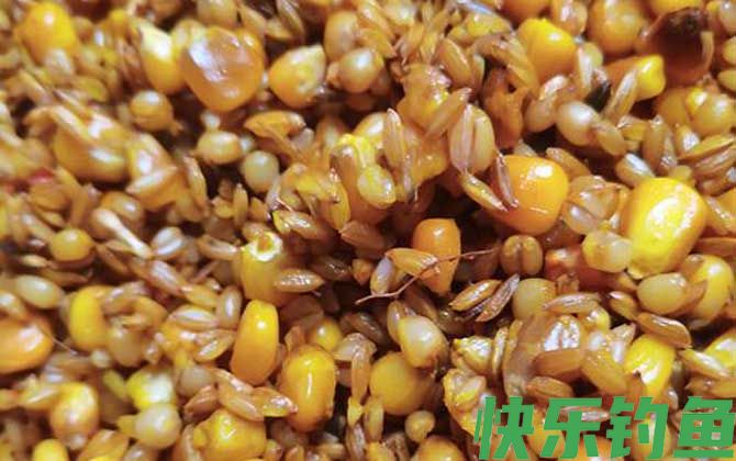 八月钓鱼用什么饵料最好？(图2)