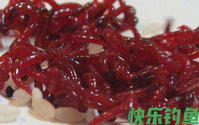 为什么红虫不能用手碰？(图2)