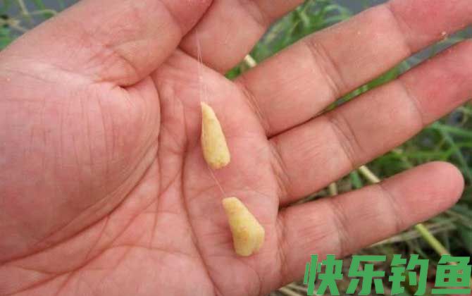 商品饵料钓鱼怎么挂饵？(图2)