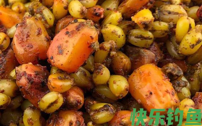 夜钓可以用玉米钓鱼吗？(图2)