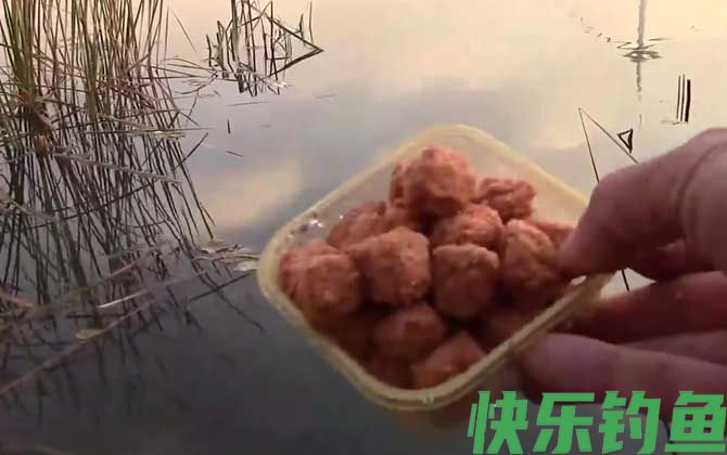 钓鱼打窝料经典配方大全(图7)