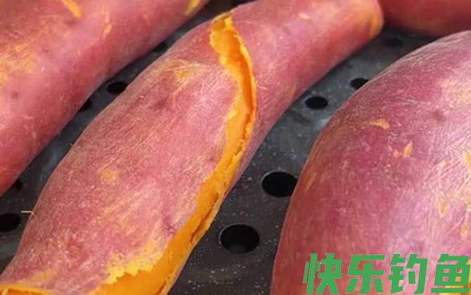 红薯钓鱼效果怎么样？(图1)