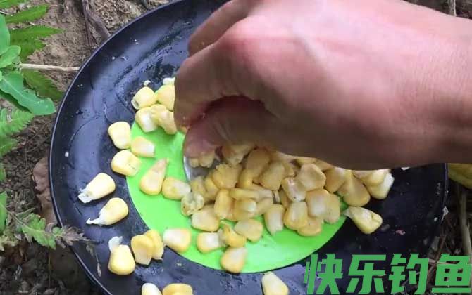 初夏钓鱼用什么饵料最好？(图2)