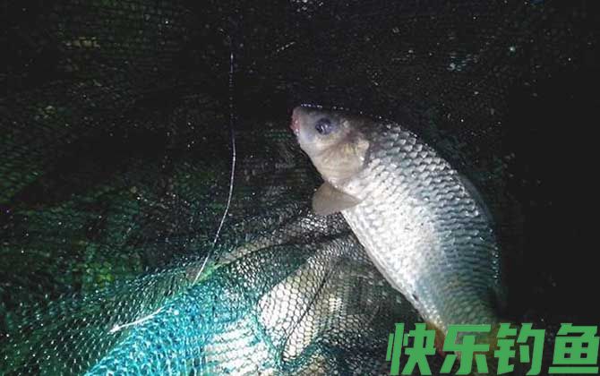 夜钓提前多久打窝最佳？(图1)