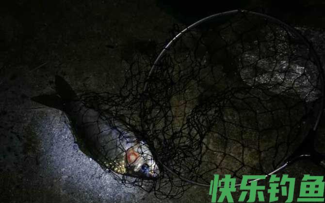 冬天晚上钓鱼钓远还是钓近?(图2) 冬天晚上钓鱼钓远还是钓近?(图2)