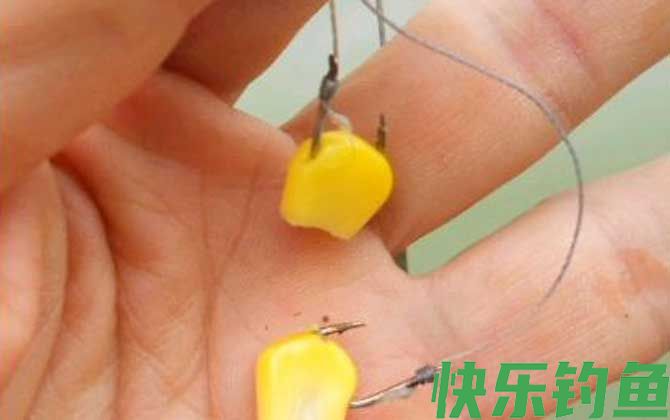 玉米适合什么季节钓鱼？(图2)
