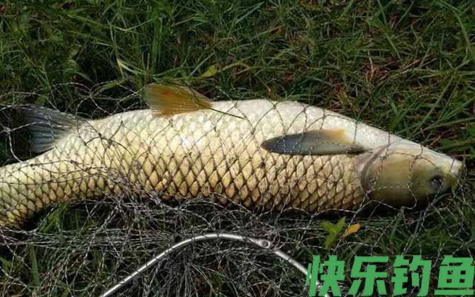 秋季钓鱼的技巧和方法(图5)