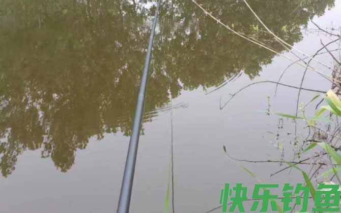 春季钓鱼朝阳还是背阳？(图3)