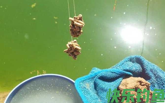 正钓后多久适合去黑坑偷驴？(图2)