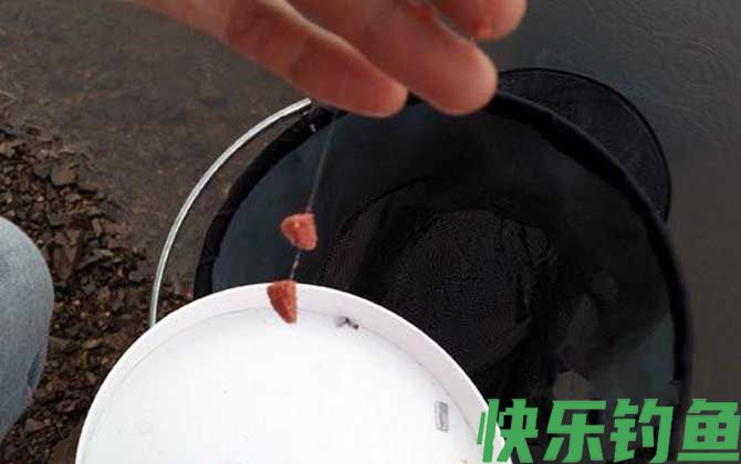正钓后多久适合去黑坑偷驴？(图3)