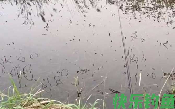 东南风钓鱼最佳钓位(图1)