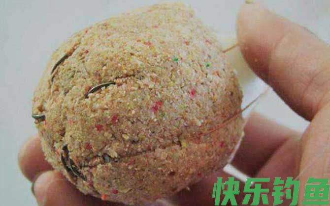 用爆炸钩怎么钓鲤鱼？(图2)