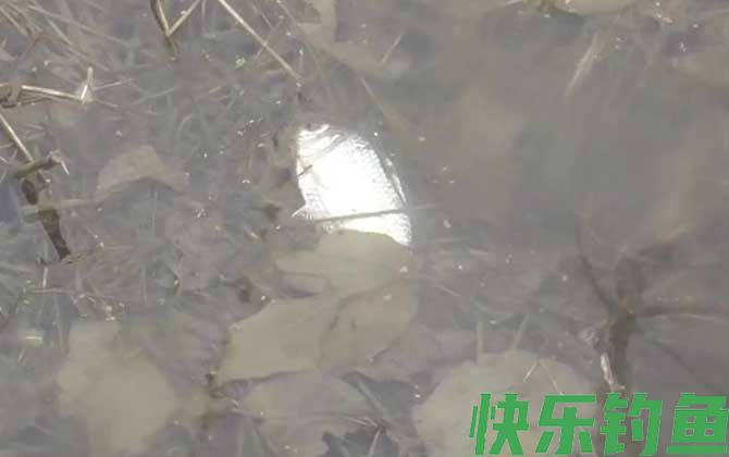 野钓怎么找钓位和鱼道？(图3)