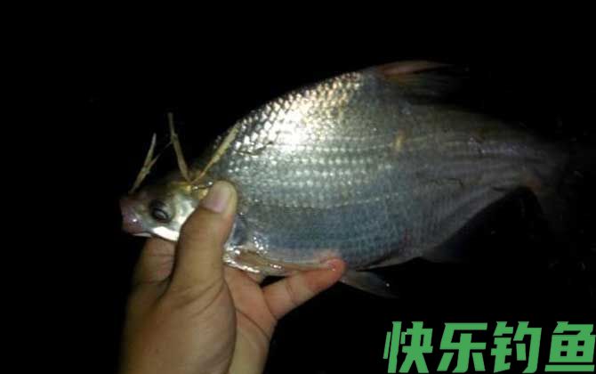 大雨过后夜钓好钓吗？(图3)