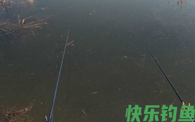 冬季钓鱼什么时间开口最好？(图3)