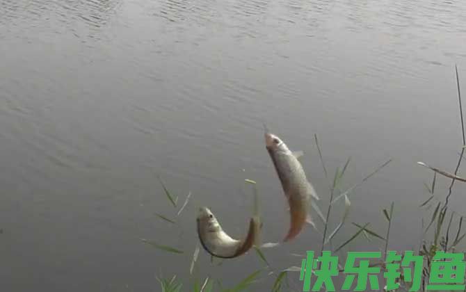 九月钓鱼怎么选钓位？(图3)