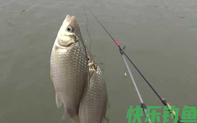 初冬钓鱼天气怎么选择？(图1)