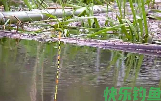 钓鱼调漂的正确方法(图4)