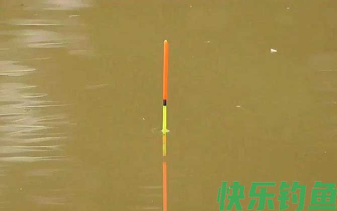 鲫鱼漂相什么时候提竿？(图2)