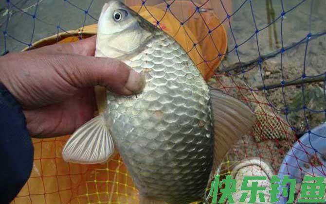 夏天东风好钓鱼吗？(图1)