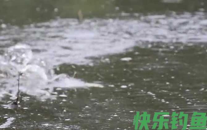 初夏钓鱼钓多深合适？(图4)