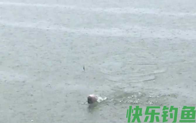新手钓鱼入门基本功(图5)