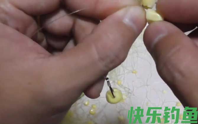 手竿挂玉米钓鱼技巧和方法(图1) 手竿挂玉米钓鱼技巧和方法(图1)