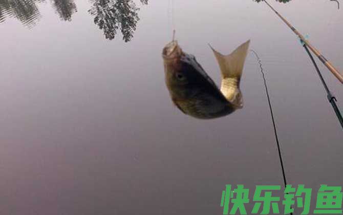 蚯蚓钓鱼全是小鱼怎么办?(图1) 蚯蚓钓鱼全是小鱼怎么办?(图1)
