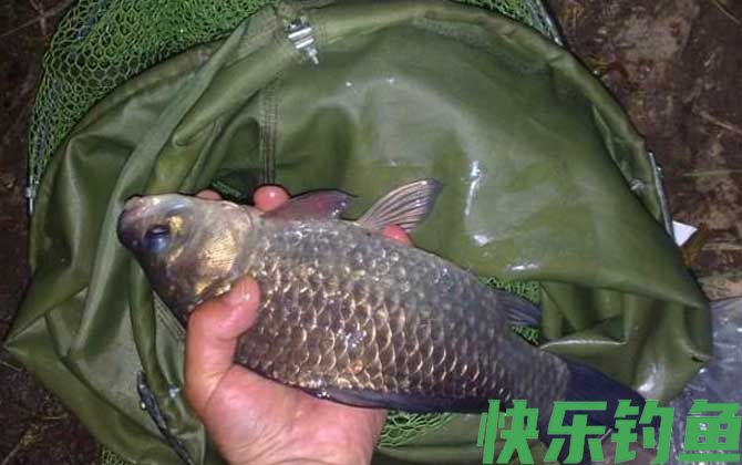 夜钓怎么选钓位？(图3)
