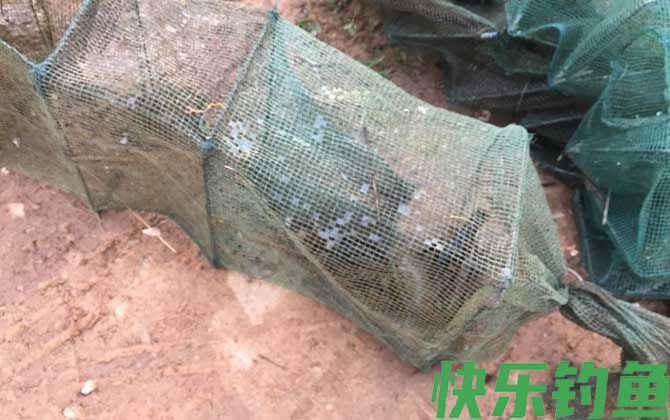 虾笼怎么使用最有效？(图4)