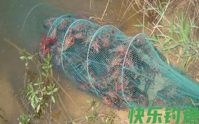 地笼多久收一次效果好?(图3) 地笼多久收一次效果好?(图3)