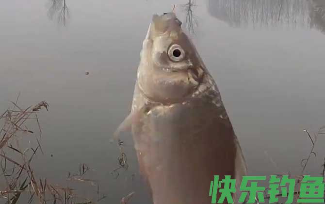 冬季钓鱼钓深水还是浅水？(图1)