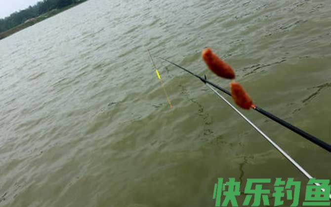 搓饵钓鱼一般多久提竿？(图4)