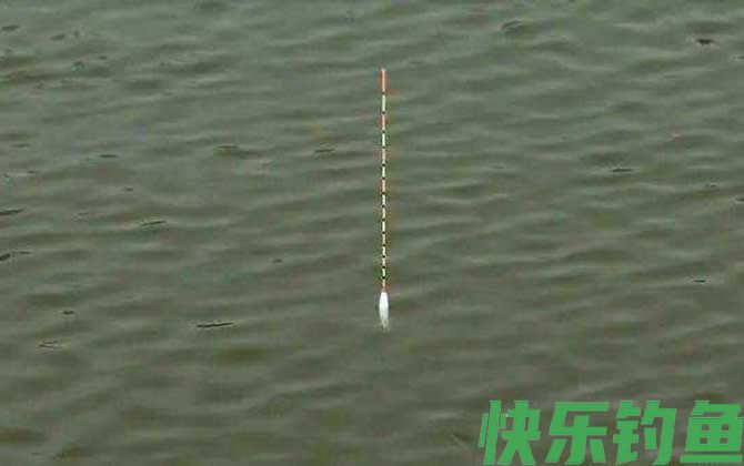 台钓看漂技巧及注意事项(图3)