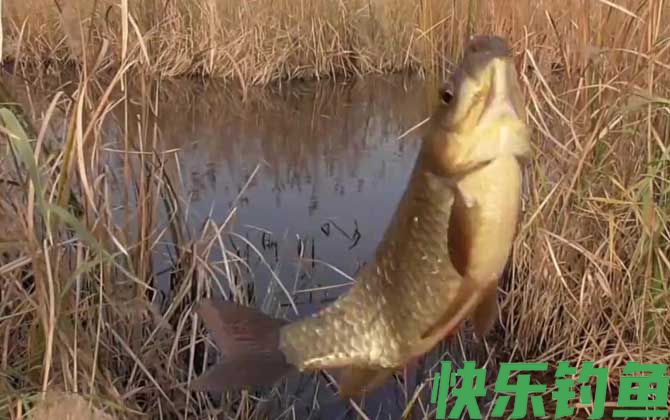 早春钓鱼怎么钓上鱼快？(图1)