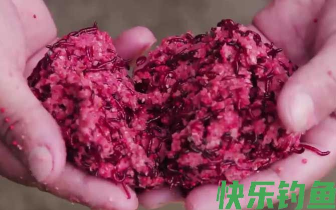红虫野钓调漂调几钓几最好？(图3)
