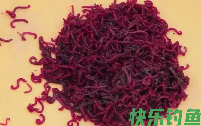 红虫野钓调漂调几钓几最好？(图4)
