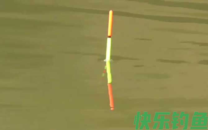 跑铅钓鱼不需要调漂吗?(图2) 跑铅钓鱼不需要调漂吗?(图2)