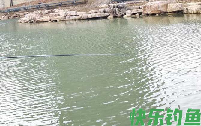 初春钓鲫鱼技巧大全(图5)
