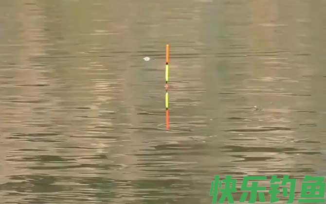 冬季钓鱼钓流水还是静水？(图1)