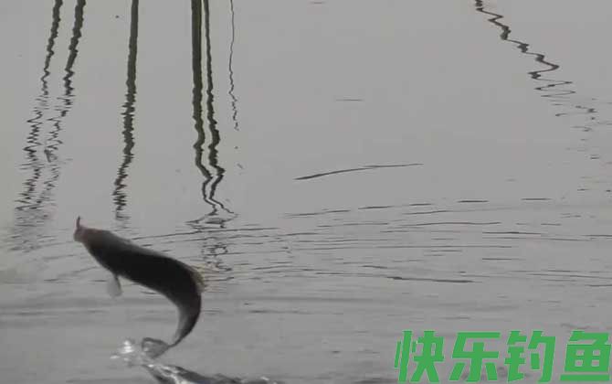 初冬钓鱼什么风向好钓？(图1)