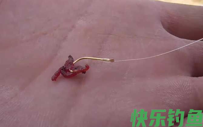 红虫野钓调漂最佳方法(图1)