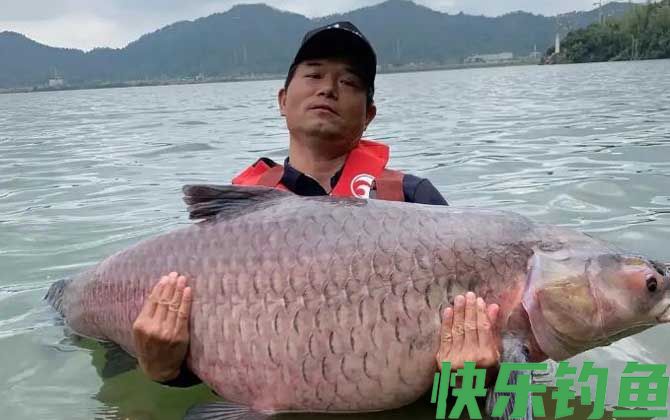 邓刚(图1)